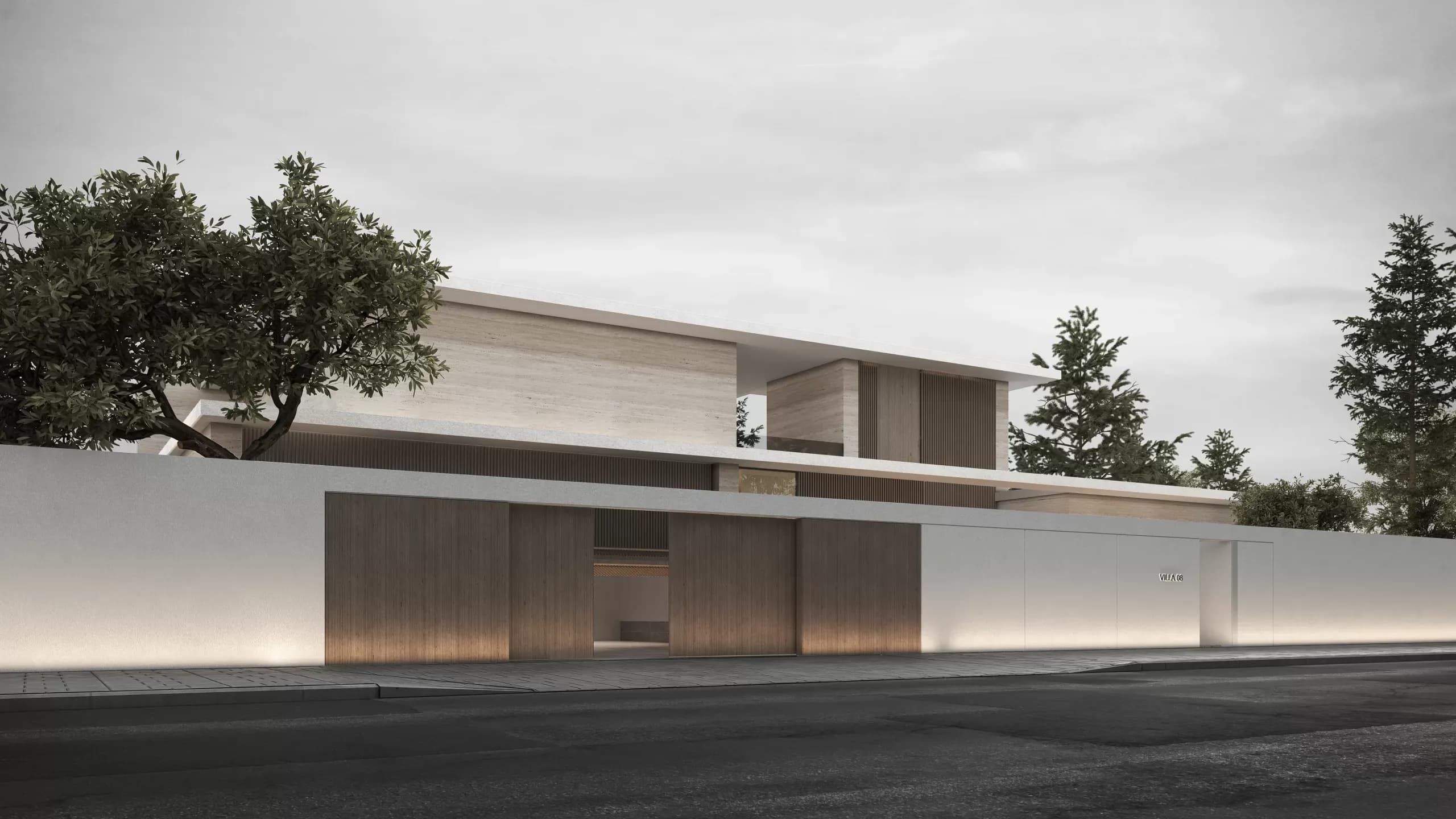 Project Image 1