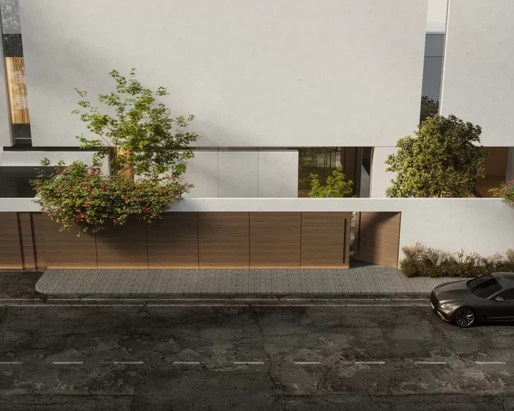 Project Image 1